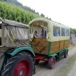 Weincafe Korkenzieher * Briedel