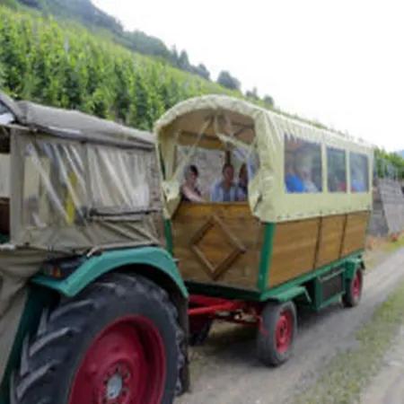 Weincafe Korkenzieher * Briedel