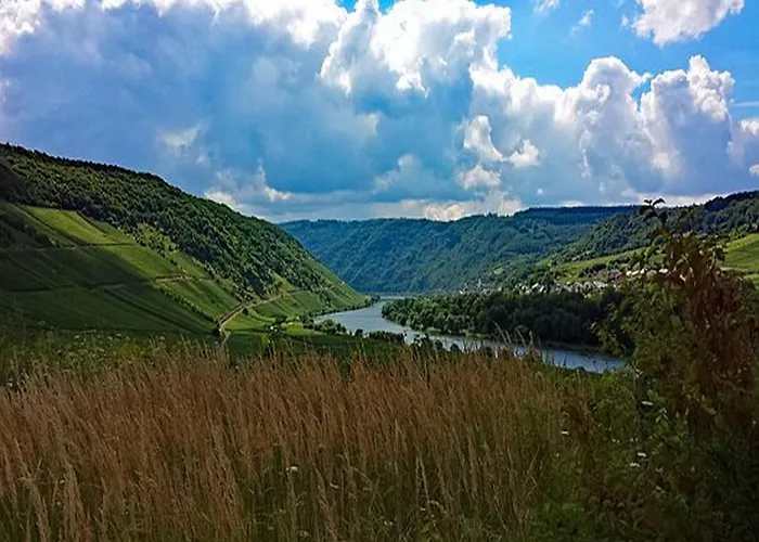 Holiday home Weincafe Korkenzieher *