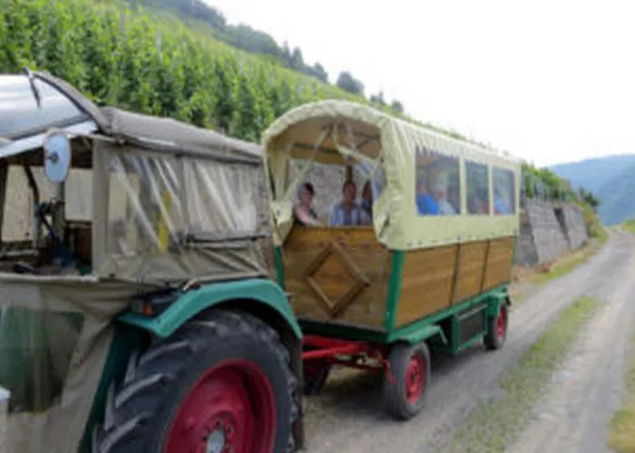 Weincafe Korkenzieher * Briedel