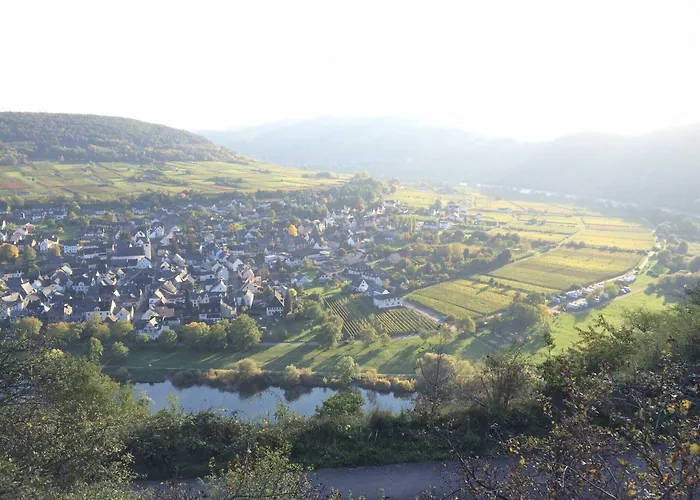 Weincafe Korkenzieher * Briedel